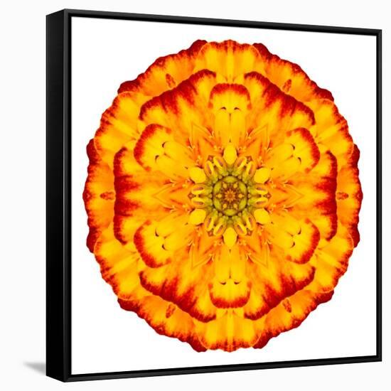 Orange Concentric Marigold Mandala Flower-tr3gi-Framed Stretched Canvas