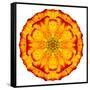 Orange Concentric Marigold Mandala Flower-tr3gi-Framed Stretched Canvas