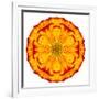 Orange Concentric Marigold Mandala Flower-tr3gi-Framed Art Print