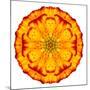 Orange Concentric Marigold Mandala Flower-tr3gi-Mounted Art Print