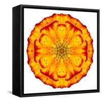 Orange Concentric Marigold Mandala Flower-tr3gi-Framed Stretched Canvas