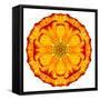 Orange Concentric Marigold Mandala Flower-tr3gi-Framed Stretched Canvas