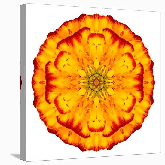 Orange Concentric Marigold Mandala Flower-tr3gi-Stretched Canvas