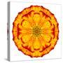 Orange Concentric Marigold Mandala Flower-tr3gi-Stretched Canvas