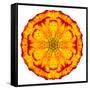 Orange Concentric Marigold Mandala Flower-tr3gi-Framed Stretched Canvas