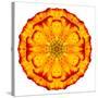 Orange Concentric Marigold Mandala Flower-tr3gi-Stretched Canvas