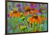 Orange coneflower with backdrop of purple painted tongue.-Darrell Gulin-Framed Photographic Print