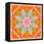 Orange Connection Mandala-Alaya Gadeh-Framed Stretched Canvas