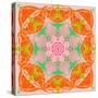 Orange Connection Mandala-Alaya Gadeh-Stretched Canvas