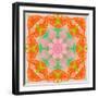 Orange Connection Mandala-Alaya Gadeh-Framed Photographic Print