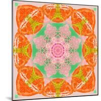 Orange Connection Mandala-Alaya Gadeh-Mounted Photographic Print