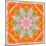 Orange Connection Mandala-Alaya Gadeh-Mounted Photographic Print