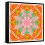 Orange Connection Mandala-Alaya Gadeh-Framed Stretched Canvas