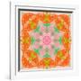 Orange Connection Mandala-Alaya Gadeh-Framed Photographic Print