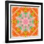 Orange Connection Mandala-Alaya Gadeh-Framed Photographic Print