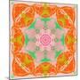 Orange Connection Mandala-Alaya Gadeh-Mounted Photographic Print