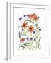 Orange Corn Flower-Beverly Dyer-Framed Art Print