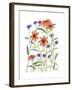 Orange Corn Flower-Beverly Dyer-Framed Art Print