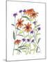 Orange Corn Flower-Beverly Dyer-Mounted Art Print