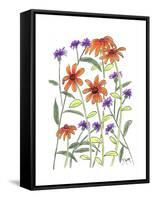 Orange Corn Flower-Beverly Dyer-Framed Stretched Canvas
