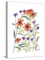 Orange Corn Flower-Beverly Dyer-Stretched Canvas