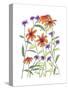 Orange Corn Flower-Beverly Dyer-Stretched Canvas