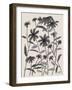 Orange Corn Flower-Beverly Dyer-Framed Art Print