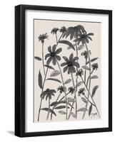 Orange Corn Flower-Beverly Dyer-Framed Art Print