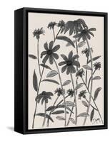 Orange Corn Flower-Beverly Dyer-Framed Stretched Canvas