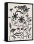 Orange Corn Flower-Beverly Dyer-Framed Stretched Canvas