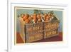 Orange Crate, Florida-null-Framed Premium Giclee Print