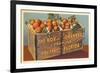 Orange Crate, Florida-null-Framed Premium Giclee Print