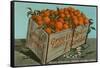 Orange Crate, Florida-null-Framed Stretched Canvas