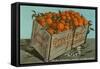 Orange Crate, Florida-null-Framed Stretched Canvas