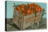 Orange Crate, Florida-null-Stretched Canvas