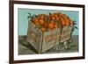 Orange Crate, Florida-null-Framed Premium Giclee Print