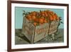 Orange Crate, Florida-null-Framed Premium Giclee Print