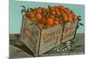 Orange Crate, Florida-null-Mounted Premium Giclee Print