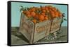 Orange Crate, Florida-null-Framed Stretched Canvas