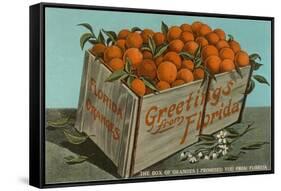 Orange Crate, Florida-null-Framed Stretched Canvas