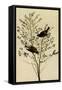Orange-Crowned Warblers-John James Audubon-Framed Stretched Canvas