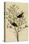 Orange-Crowned Warblers-John James Audubon-Stretched Canvas