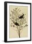 Orange-Crowned Warblers-John James Audubon-Framed Giclee Print