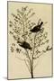 Orange-Crowned Warblers-John James Audubon-Mounted Giclee Print