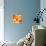 Orange Crystal Vector Abstract Pattern-art_of_sun-Stretched Canvas displayed on a wall