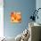 Orange Crystal Vector Abstract Pattern-art_of_sun-Art Print displayed on a wall