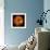 Orange Dahlia on Black 01-Tom Quartermaine-Framed Giclee Print displayed on a wall