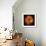 Orange Dahlia on Black 01-Tom Quartermaine-Framed Giclee Print displayed on a wall