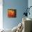 Orange Dahlia-June Hunter-Stretched Canvas displayed on a wall