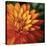 Orange Dahlia-June Hunter-Stretched Canvas